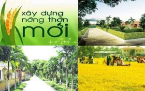 Chương trình mục tiêu quốc gia xây dựng nông thôn mới giai đoạn 2021 - 2025