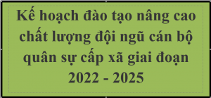 Kế hoạch đào tạo nâng cao chất lượng đội ngũ cán bộ quân sự cấp xã giai đoạn 2022 - 2025