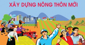 Bộ tiêu chí xã nông thôn mới và xã nông thôn mới nâng cao trên địa bàn tỉnh giai đoạn 2021 - 2025