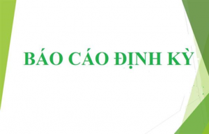 Quy định chế độ báo cáo định kỳ ngành Nội vụ trên địa bàn tỉnh Bình Định.