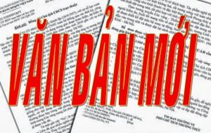 Quy định phân cấp quản lý cán bộ, bổ nhiệm, giới thiệu cán bộ ứng cử