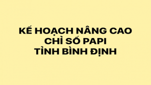 Kế hoạch nâng cao Chỉ số PAPI của tỉnh Bình Định đến năm 2025