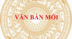 Quy định chức năng, nhiệm vụ, quyền hạn và cơ cấu tổ chức của các đơn vị trực thuộc Sở Nội vụ.