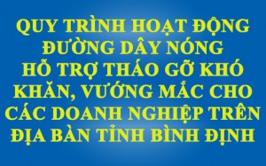 Quy trình hoạt động đường dây nóng hỗ trợ tháo gỡ khó khăn, vướng mắc cho các doanh nghiệp trên địa bàn tỉnh Bình Định.