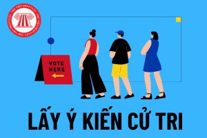 Ủy ban nhân dân tỉnh Bình Định ban hành Kế hoạch lấy ý kiến cử tri Đề án sắp xếp tỉnh Gia Lai với tỉnh Bình Định và Đề án sắp xếp, tổ chức lại đơn vị hành chính cấp xã trên địa bàn tỉnh.