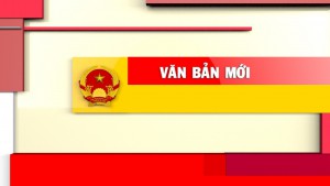 Thủ tướng Chính phủ ban hành Kế hoạch triển khai thi hành Luật Tổ chức chính quyền địa phương số 72/2025/QH15