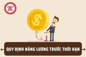 Quyết định ban hành Quy chế nâng bậc lương trước thời hạn đối với cán bộ, công chức, viên chức và người lao động do lập thành tích xuất sắc trong thực hiện nhiệm vụ thuộc phạm vi quản lý của tỉnh Gia Lai
