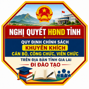 Nghị quyết Hội đồng nhân dân tỉnh Quy định chính sách khuyến khích cán bộ, công chức, viên chức trên địa bàn tỉnh Gia Lai đi đào tạo.