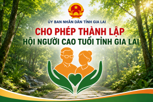 Cho phép thành lập Hội Người cao tuổi tỉnh Gia Lai