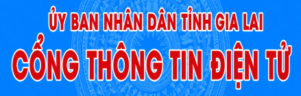Banner UBND tỉnh