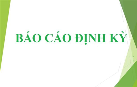 Quy định chế độ báo cáo định kỳ ngành Nội vụ trên địa bàn tỉnh Bình Định.