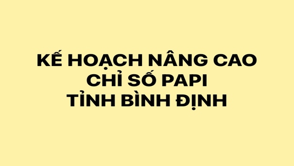 Kế hoạch nâng cao Chỉ số PAPI của tỉnh Bình Định đến năm 2025