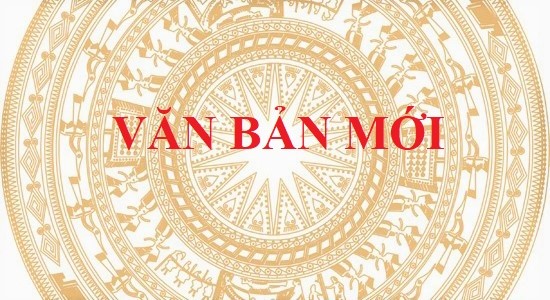 Quy định chức năng, nhiệm vụ, quyền hạn và cơ cấu tổ chức của Trung tâm Lưu trữ lịch sử tỉnh trực thuộc Sở Nội vụ.