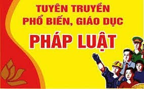 Tài liệu tuyên truyền dự án Luật Căn cước và dự án Luật Lực lượng tham gia bảo vệ an ninh, trật tự ở cơ sở.