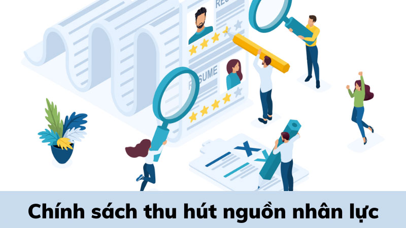 Hướng dẫn về thực hiện thu hút nguồn nhân lực chất lượng cao tỉnh Bình Định đến năm 2025.