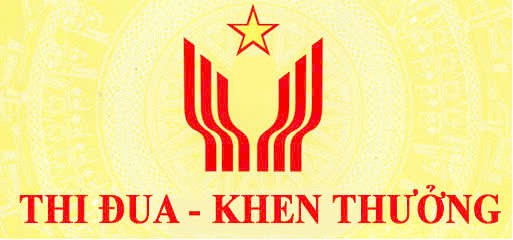 Triển khai quy định chi tiết và hướng dẫn thi hành Pháp lệnh quy định danh hiệu vinh dự Nhà nước Bà mẹ Việt Nam anh hùng