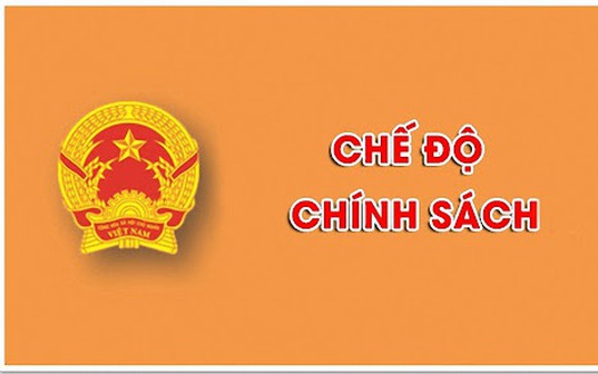 Chính phủ ban hành Nghị quyết 07/2025/NQ-CP về chính sách đối với đối tượng chịu tác động khi sắp xếp tổ chức bộ máy, đơn vị hành chính.